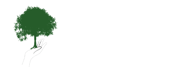 All in One Property Management